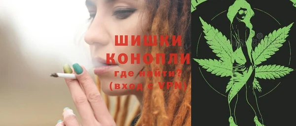 не бодяженный Иннополис