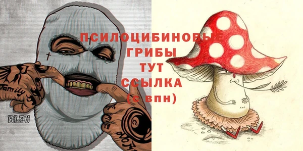 не бодяженный Иннополис